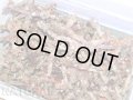 【特価】A級枝ライブロック1BOX（約15kg）