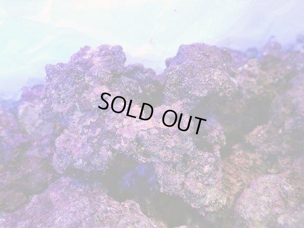 画像2: 【特価】A級ライブロック ブロックタイプ1BOX（約15kg）