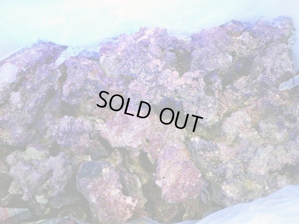 画像1: 【特価】A級ライブロック ブロックタイプ1BOX（約15kg）