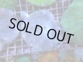 0809クサビライシ02