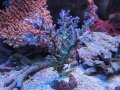 0607－16