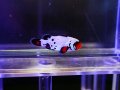 フロストバイトオセラリス（Proaquatixブリード）02