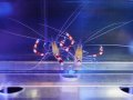 キイロオトヒメエビペア
