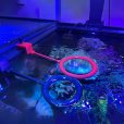 画像2: オリジナル3D　フロートリングM　フランジ有水槽用（餌の浮き輪） (2)