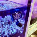 受注生産　オリジナル3D　Gexミニミニデジタル水温計用　小マグネット
