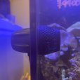 画像2: ナチュラルオリジナル　EcotechMarine Vortec MP10用フィッシュプロテクトカバー (2)