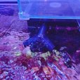 画像3: オリジナル3D　20A用吹き出し口分岐パイプ (3)
