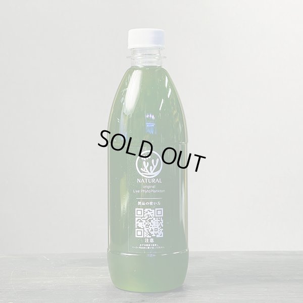 画像1: メンバー新規加入者限定！プレゼントオリジナルライブフィトプランクトン500ml　送料別途