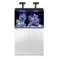 【取寄】Red Sea MAX-E260 White 90cm水槽　60Hz