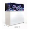 画像1: 【取寄】G2+プラスモデル（ATO付き）RedSea REEFER 350　White(120cm)　フランジ付き (1)