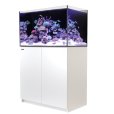 画像1: 【取寄】G2+プラスモデル（ATO付き）RedSea REEFER 250　White(90cm)　フランジ付き (1)