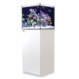 画像1: 【取寄】G2+プラスモデル（ATO付き）RedSea REEFER 170　White(60cm)　フランジ付き (1)