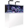 【取寄予約6-7月入荷予定】G2+プラスモデル（ATO付き）RedSea REEFER Deluxe350　White(120cm)　フランジ付き