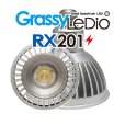 画像2: 【取寄】Grassy Ledio RX201 Sun（65000K） (2)