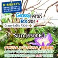 画像3: 【取寄】Grassy Ledio RX201 Sun（65000K） (3)