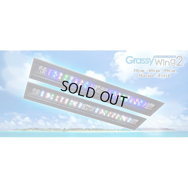 画像1: 【取寄】Grassy Wing2 30 Fresh淡水用