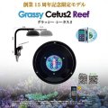 【数量限定】Grassy Cetus2 Reef（グラッシー・シータス2）【ラスト販売】