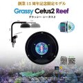 【数量限定販売】Grassy Cetus2 Reef（グラッシー・シータス2）