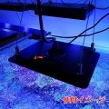Maxspect Jump MJ-L165専用吊り下げワイヤーキット