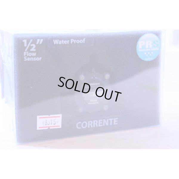 画像3: CORRENTE用　流量計1/2インチ　13A用（完全防水タイプ）