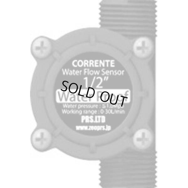 画像1: CORRENTE用　流量計1/2インチ　13A用（完全防水タイプ）