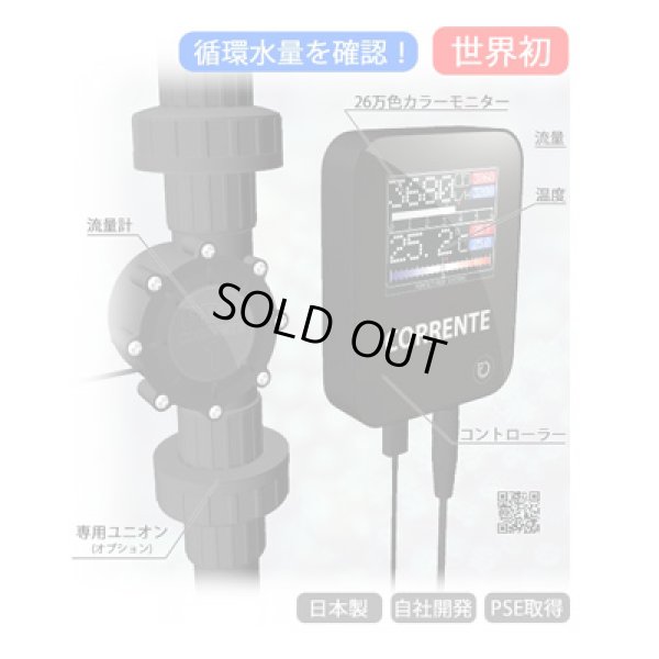 画像2: CORRENTE 専用ユニオン　3/4インチ　16A用