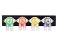 画像3: 【予約】Kamoer ReefMaster SPA　コントロールセット 2026年10月初旬予定 (3)