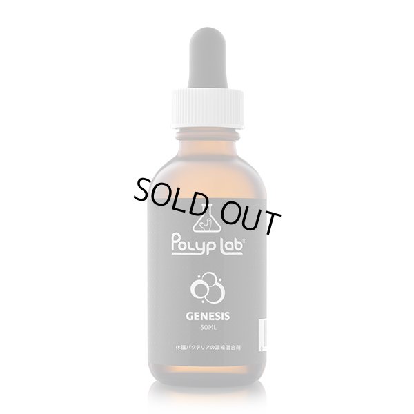 画像1: ポリプラボ　GENESIS