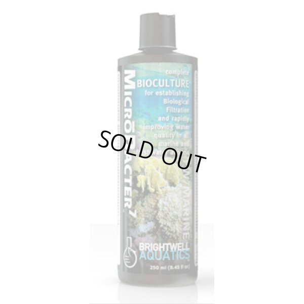 画像1: BRIGHTWELL MICRO BACTER7（マイクロバクターセブン） 125ml