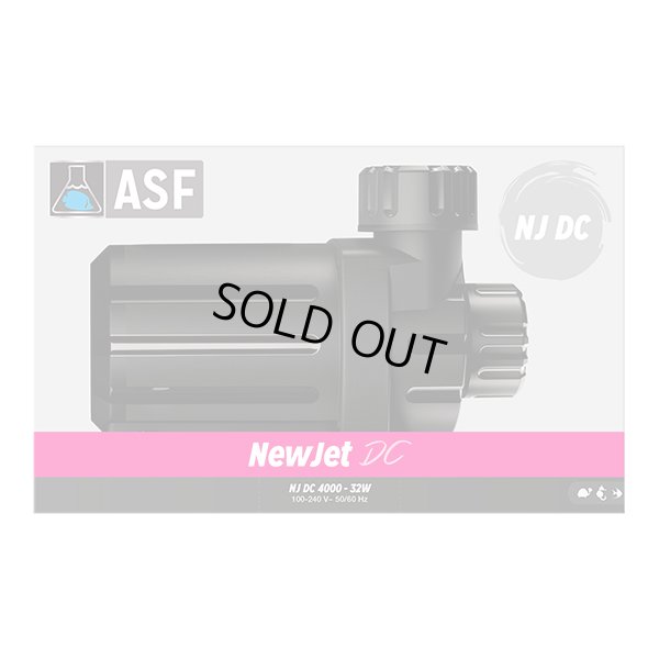 画像1: 【取寄】NewJet DCポンプ　NJ-DC4000