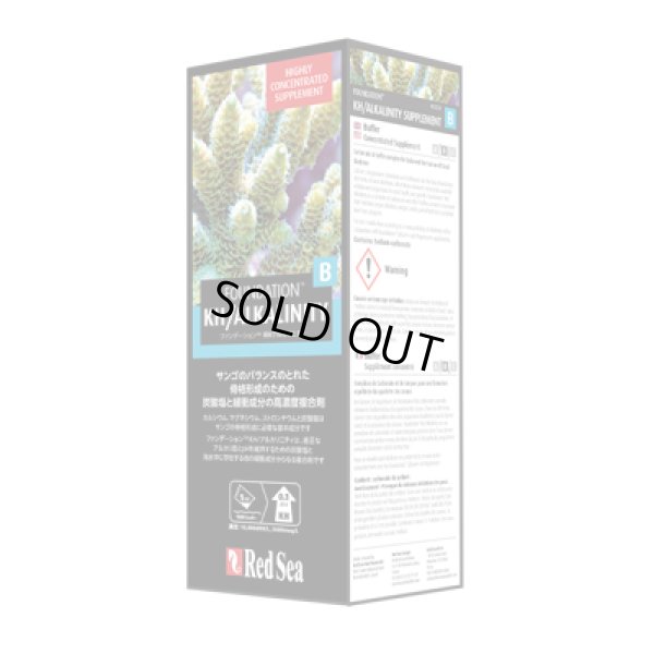 画像1: REEF CARE リーフファンデーションB 500ml