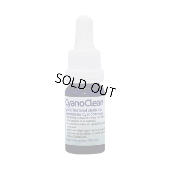 画像1: KZ Cyano Clean 10ml