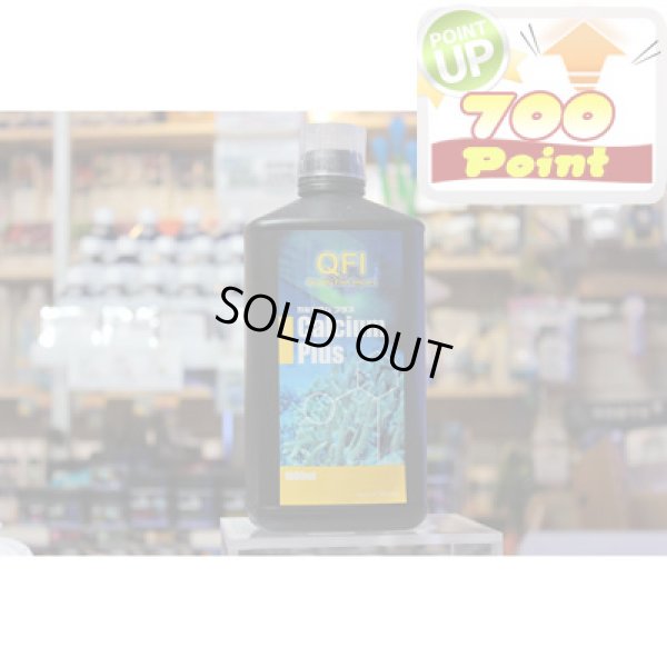 画像1: 【P】QFI　カルシウムプラス　1000ml