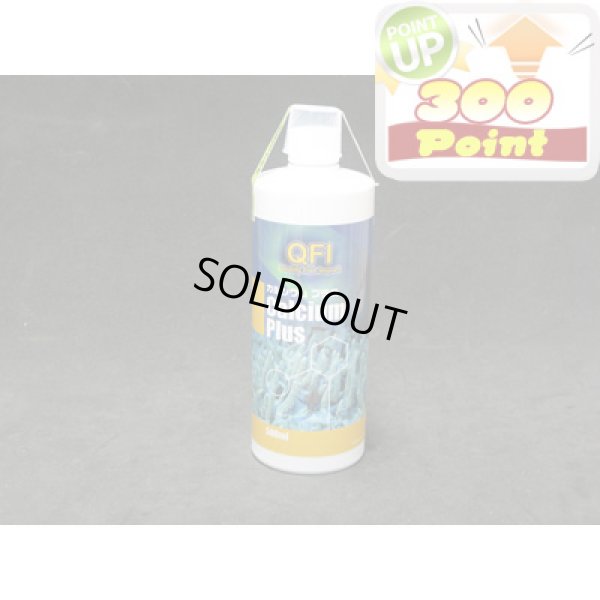 画像1: 【P】QFI　カルシウムプラス　500ml