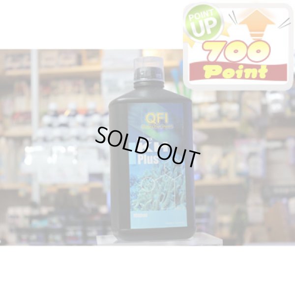 画像1: 【P】QFI　KHプラス　1000ml