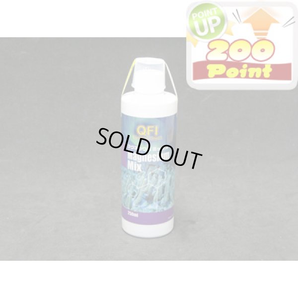 画像1: 【P】QFI　マグネシウムミックス　250ml