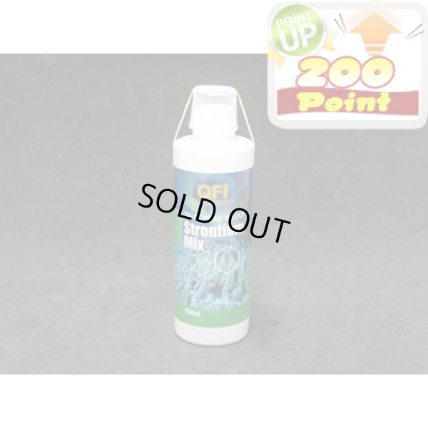 画像1: 【P】QFI　ストロンチウムミックス　250ml