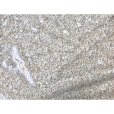 画像2: Yonaguni Aragonite Sand Salt 0.6-2.8mm 5kg (2)