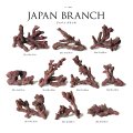 【ORCA】　オーシャンロック Japan Branch
