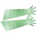 【取寄】TUNZE Protective グローブ