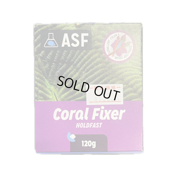 画像1: Coral Fixer HoldFast シリコンベース