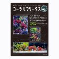 コーラルフリークス　Vol.42