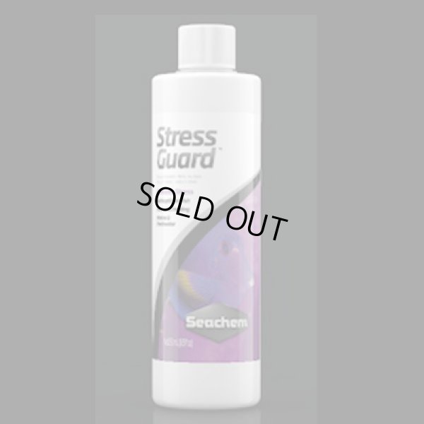 画像1: Seachem ストレスガード　100ｍｌ
