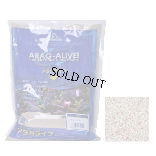 画像1: アラガライブ フィジーピンク 10LBS(4.53Kg)