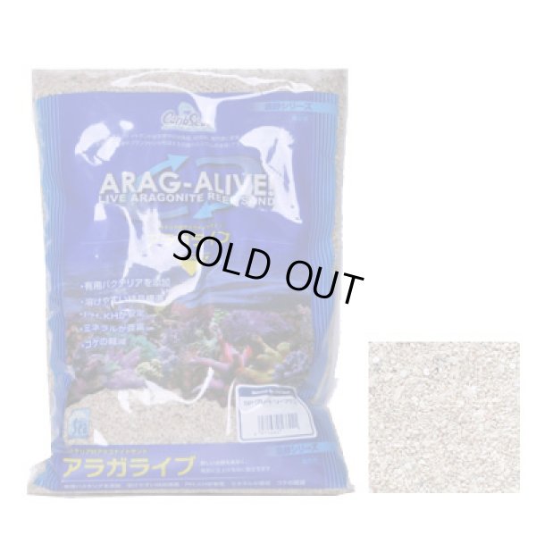 画像1: アラガライブ SPグレード 20LBS(9.1Kg)