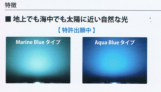 2020NEW京セラ LEDディープブルー - 海水魚ショップ ナチュラル