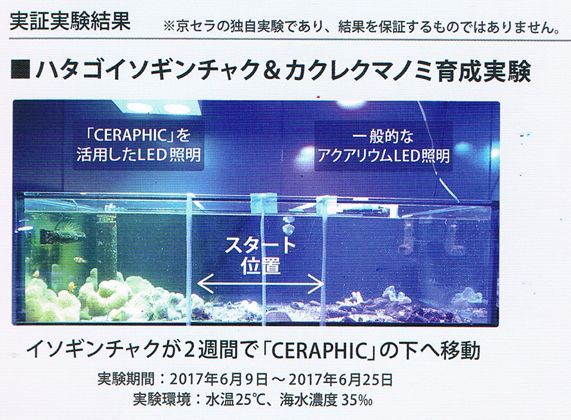 2020NEW京セラ LEDディープブルー - 海水魚ショップ ナチュラル