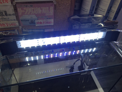 画像4: コトブキ　レグラスF-400SH/B F-LEDライトセット