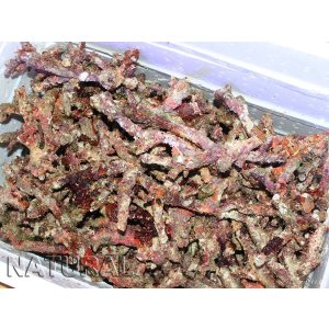 画像: 【特価】A級枝ライブロック1BOX（約15kg）