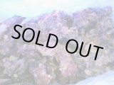 画像: 【特価】A級ライブロック ブロックタイプ1BOX（約15kg）